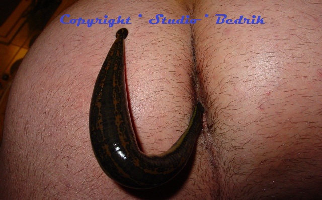 destiny trials of osiris no matchmaking anal with shit pics